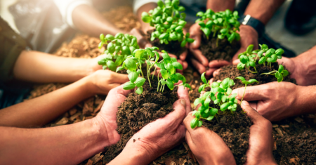 Governança Corporativa e Sustentabilidade Empresarial