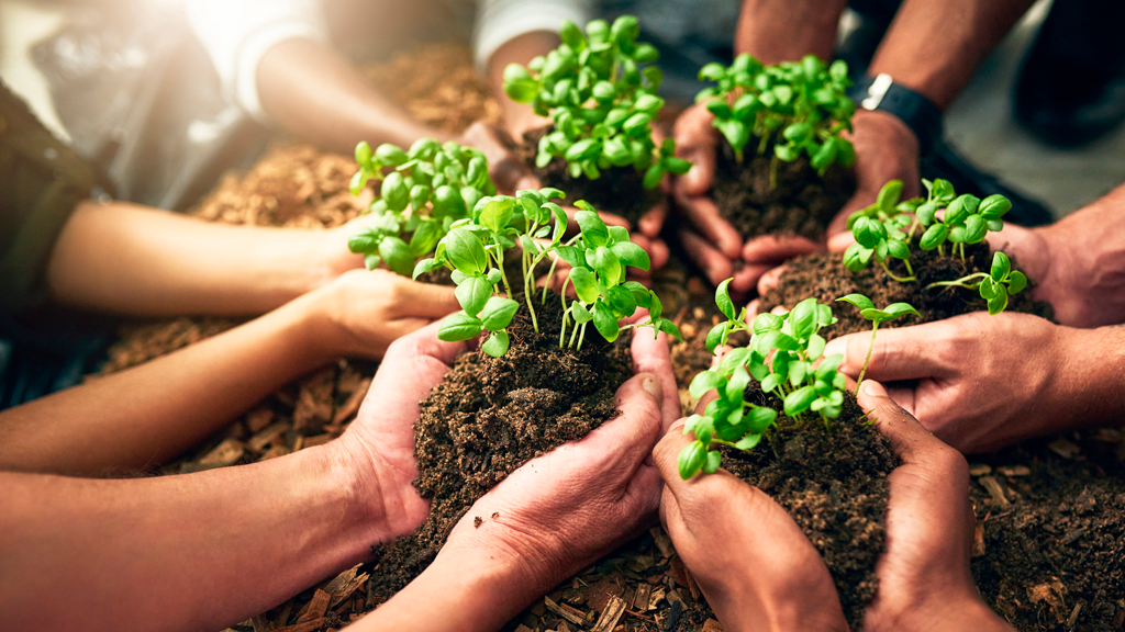 Governança Corporativa e Sustentabilidade Empresarial